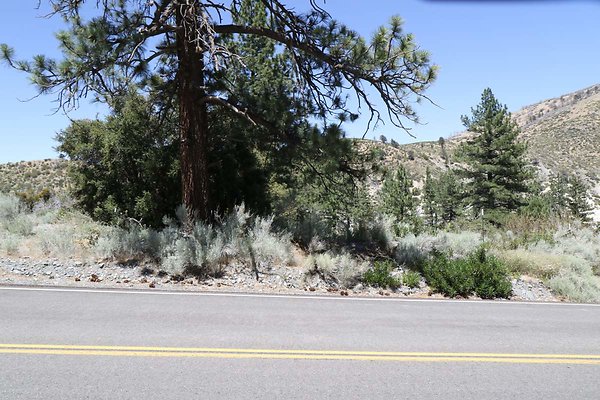 lone-pine cyn-rd 011