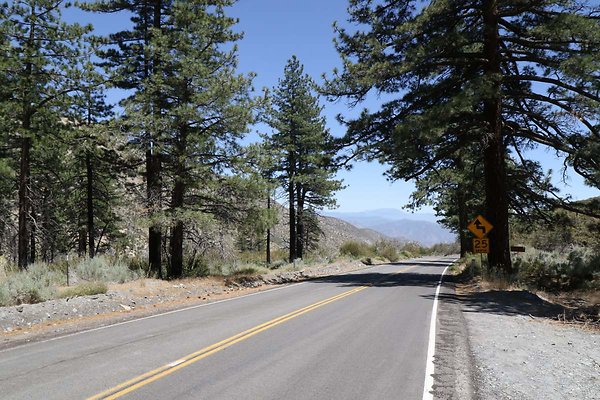 lone-pine cyn-rd 018