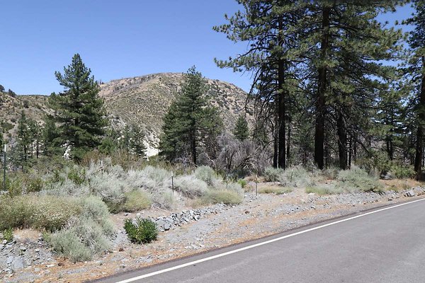 lone-pine cyn-rd 013