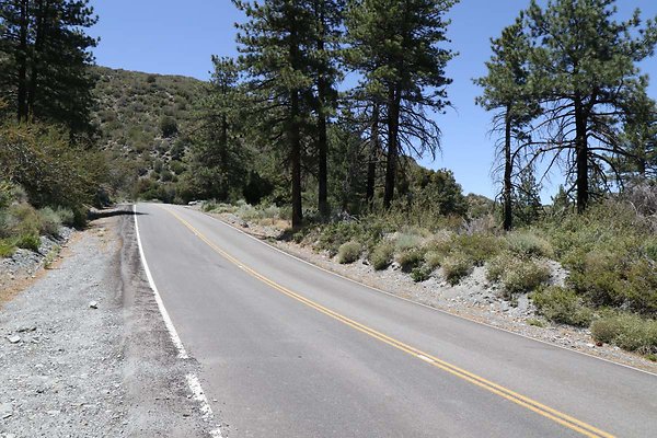 lone-pine cyn-rd 019