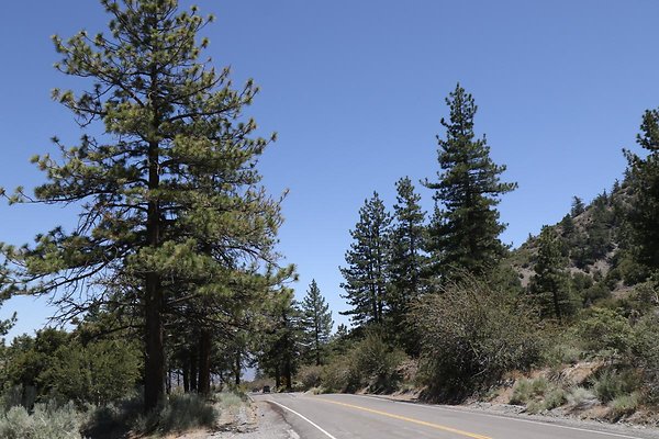 lone-pine cyn-rd 005