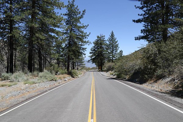 lone-pine cyn-rd 014