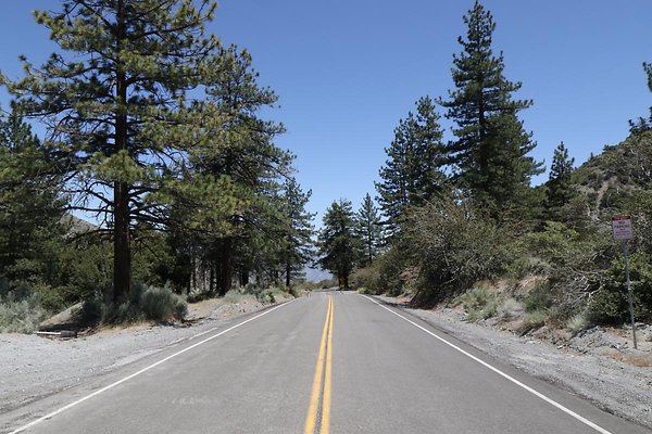 lone-pine cyn-rd 006
