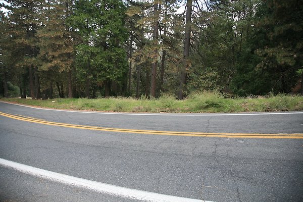 Old Mill Rd From HWY 138 South to Knapps Cutoff   - 15 of 50