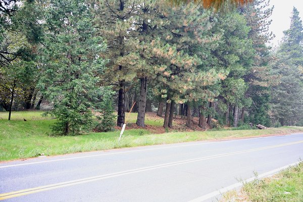 Old Mill Rd From HWY 138 South to Knapps Cutoff   - 47 of 50