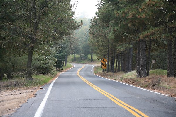 Old Mill Rd From HWY 138 South to Knapps Cutoff   - 13 of 50