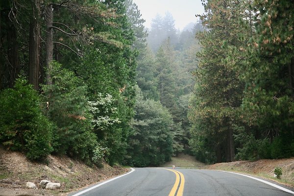 Old Mill Rd From HWY 138 South to Knapps Cutoff   - 45 of 50