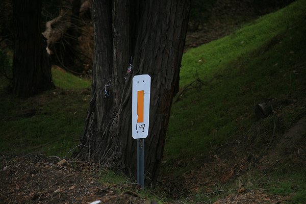 Old Mill Rd From HWY 138 South to Knapps Cutoff   - 18 of 50