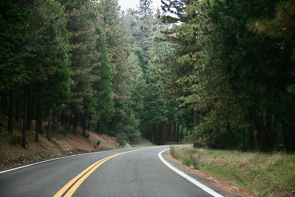 Old Mill Rd From HWY 138 South to Knapps Cutoff   - 37 of 50