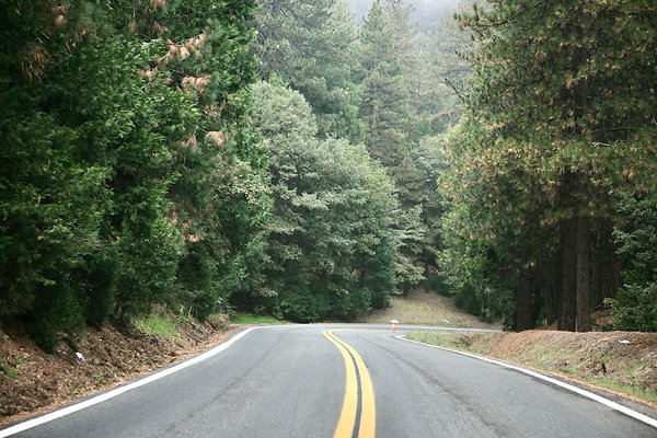 Old Mill Rd From HWY 138 South to Knapps Cutoff   - 42 of 50