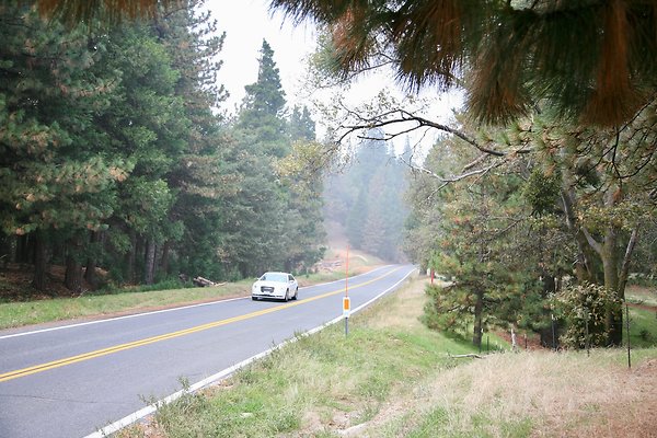 Old Mill Rd From HWY 138 South to Knapps Cutoff   - 43 of 50
