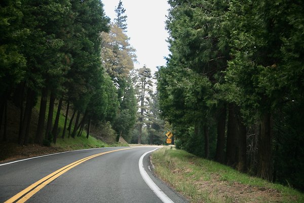 Old Mill Rd From HWY 138 South to Knapps Cutoff   - 35 of 50