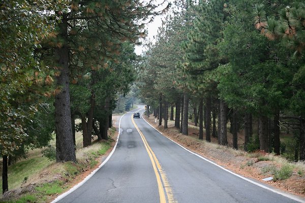 Old Mill Rd From HWY 138 South to Knapps Cutoff   - 8 of 50