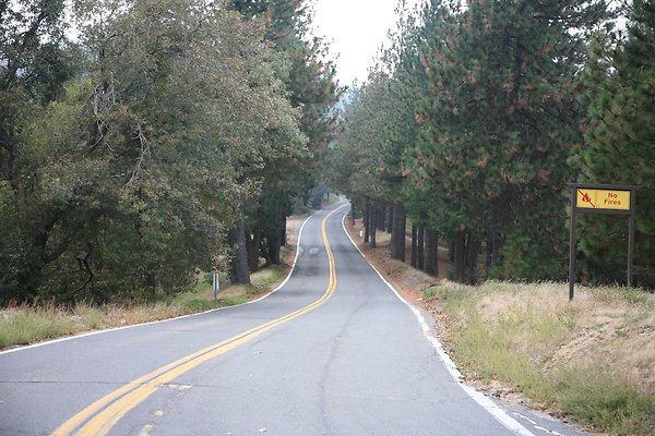 Old Mill Rd From HWY 138 South to Knapps Cutoff   - 5 of 50