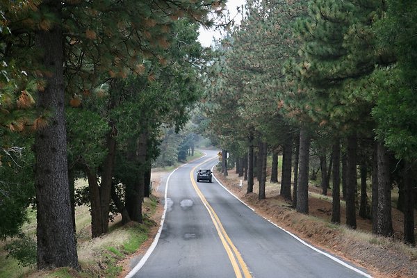 Old Mill Rd From HWY 138 South to Knapps Cutoff   - 7 of 50