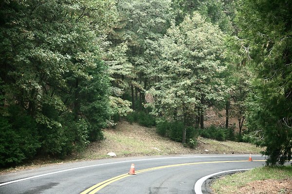 Old Mill Rd From HWY 138 South to Knapps Cutoff   - 41 of 50