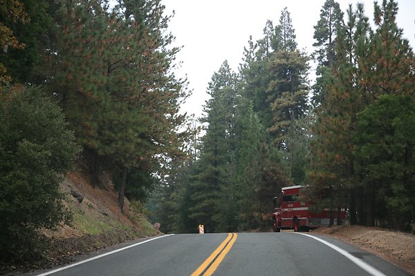 Old Mill Rd From HWY 138 South to Knapps Cutoff   - 38 of 50