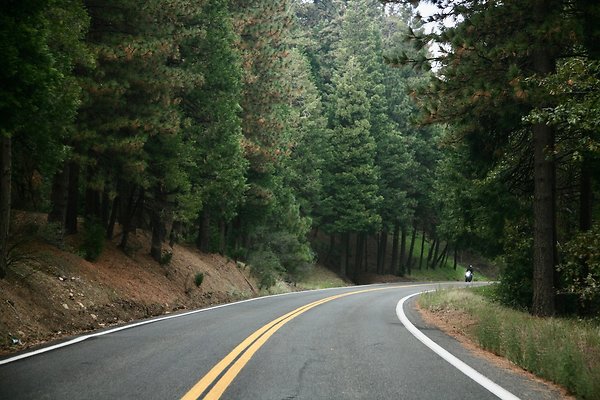 Old Mill Rd From HWY 138 South to Knapps Cutoff   - 36 of 50