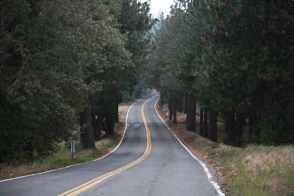 Old Mill Rd From HWY 138 South to Knapps Cutoff   - 3 of 50