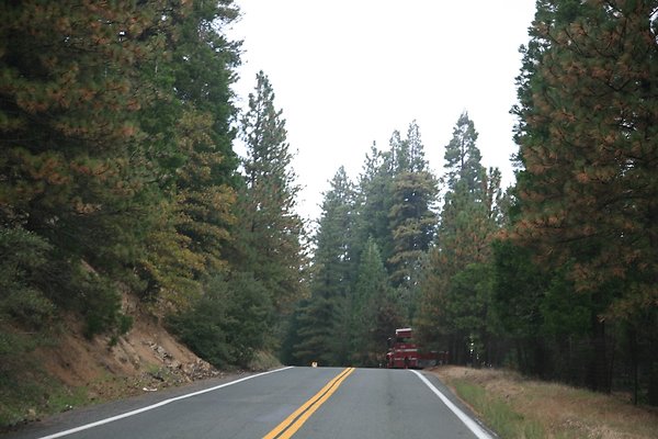 Old Mill Rd From HWY 138 South to Knapps Cutoff   - 39 of 50