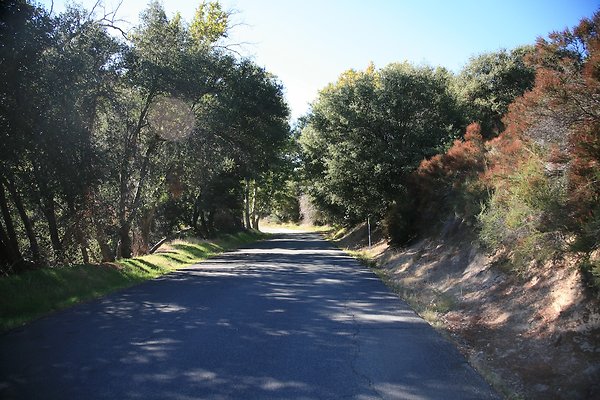 Miller Canyon Siverwood State rec. area - 43 of 55