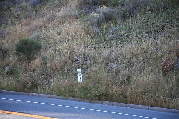 138 Adjacent to Silverwood SRA  - 1 of 14