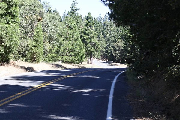 old-mill-road 037