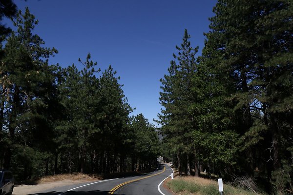 old-mill-road 011