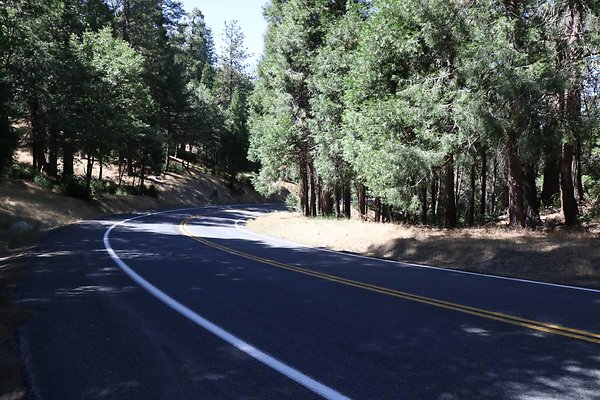 old-mill-road 026