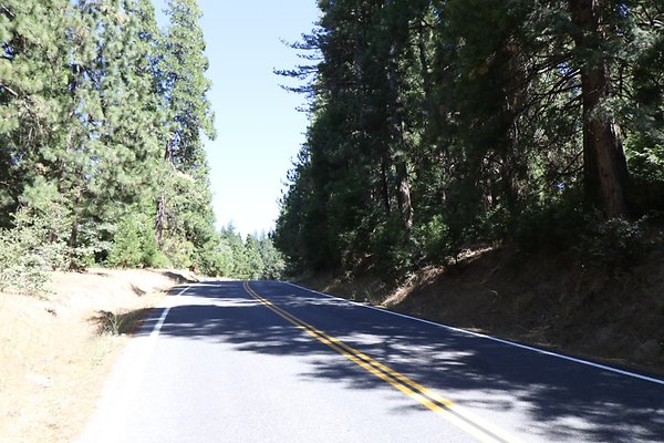 old-mill-road 031