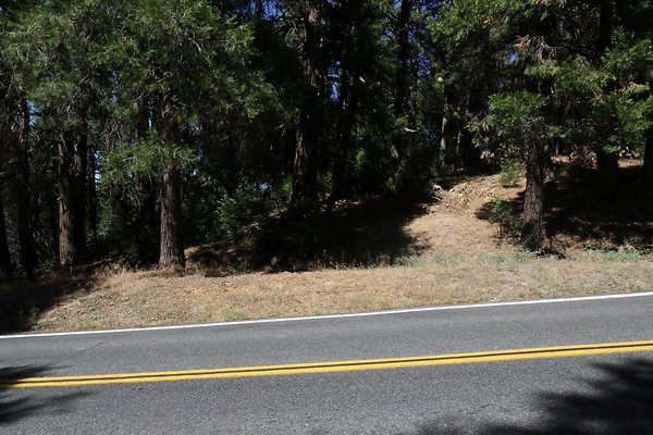 old-mill-road 024