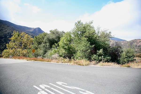 Hwy 38  From Thurman Flat to Call box 142  - 19 of 26
