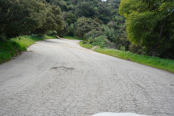 mt-hollywood-dr-2024-337
