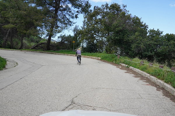 mt-hollywood-dr-2024-296