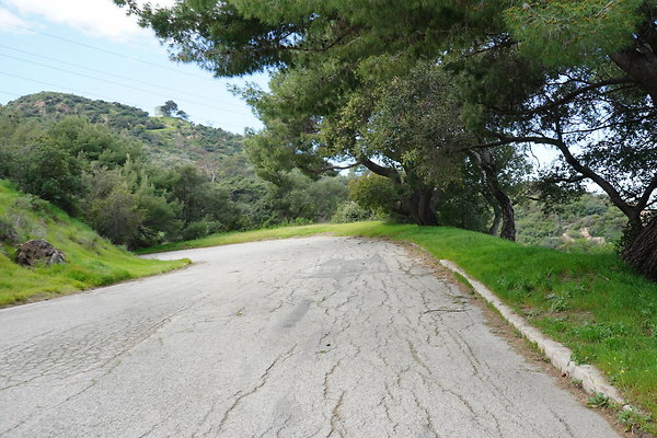 mt-hollywood-dr-2024-347