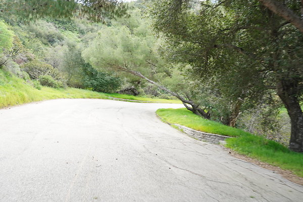 mt-hollywood-dr-2024-348