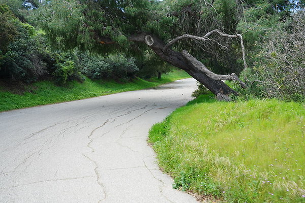 mt-hollywood-dr-2024-338