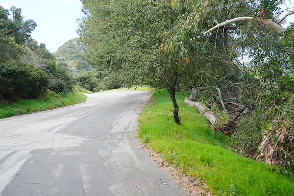 mt-hollywood-dr-2024-344
