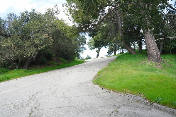 mt-hollywood-dr-2024-350