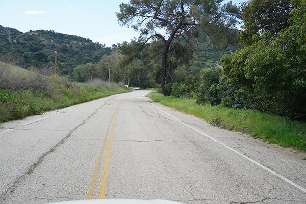 mt-hollywood-dr-2024-331