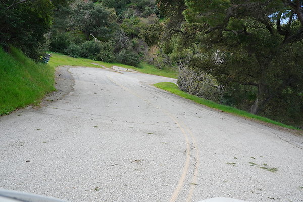 mt-hollywood-dr-2024-352