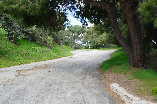 mt-hollywood-dr-2024-353