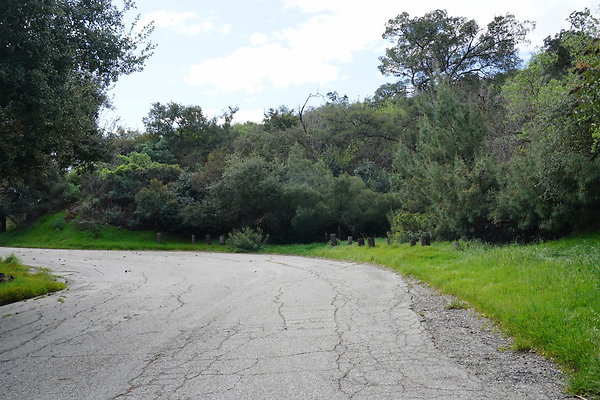 mt-hollywood-dr-2024-362