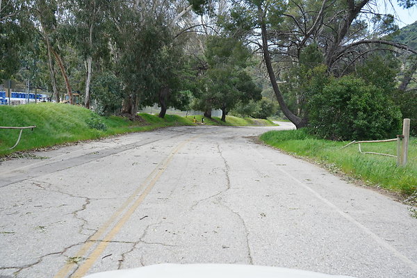 mt-hollywood-dr-2024-333