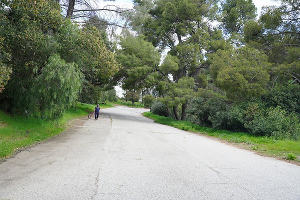 mt-hollywood-dr-2024-324