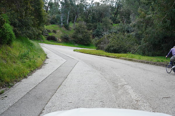 mt-hollywood-dr-2024-297