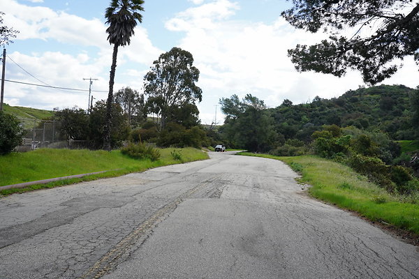 mt-hollywood-dr-2024-334