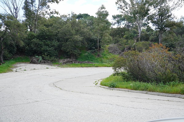 mt-hollywood-dr-2024-320