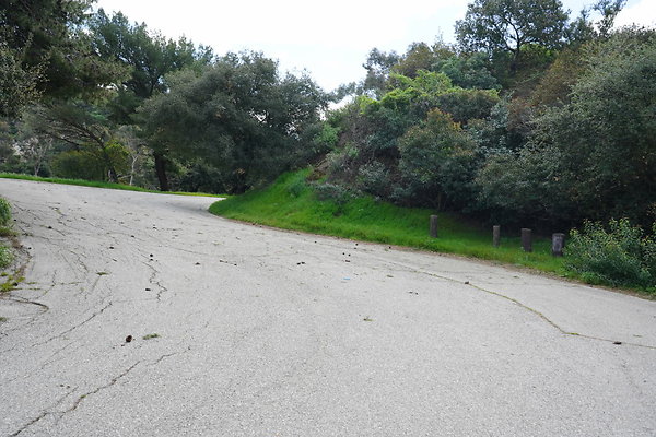 mt-hollywood-dr-2024-363