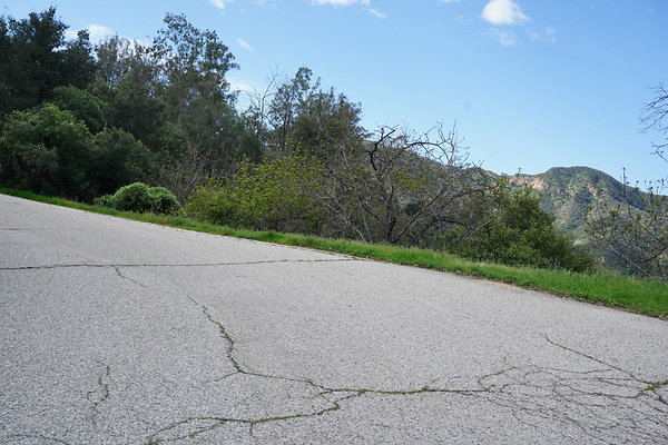 mt-hollywood-dr-2024-312